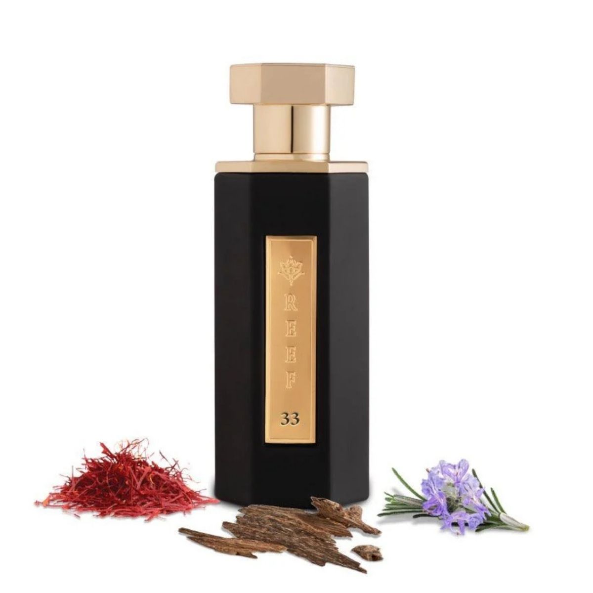 Reef 33 Perfume 100ml Eau De Parfum Spray